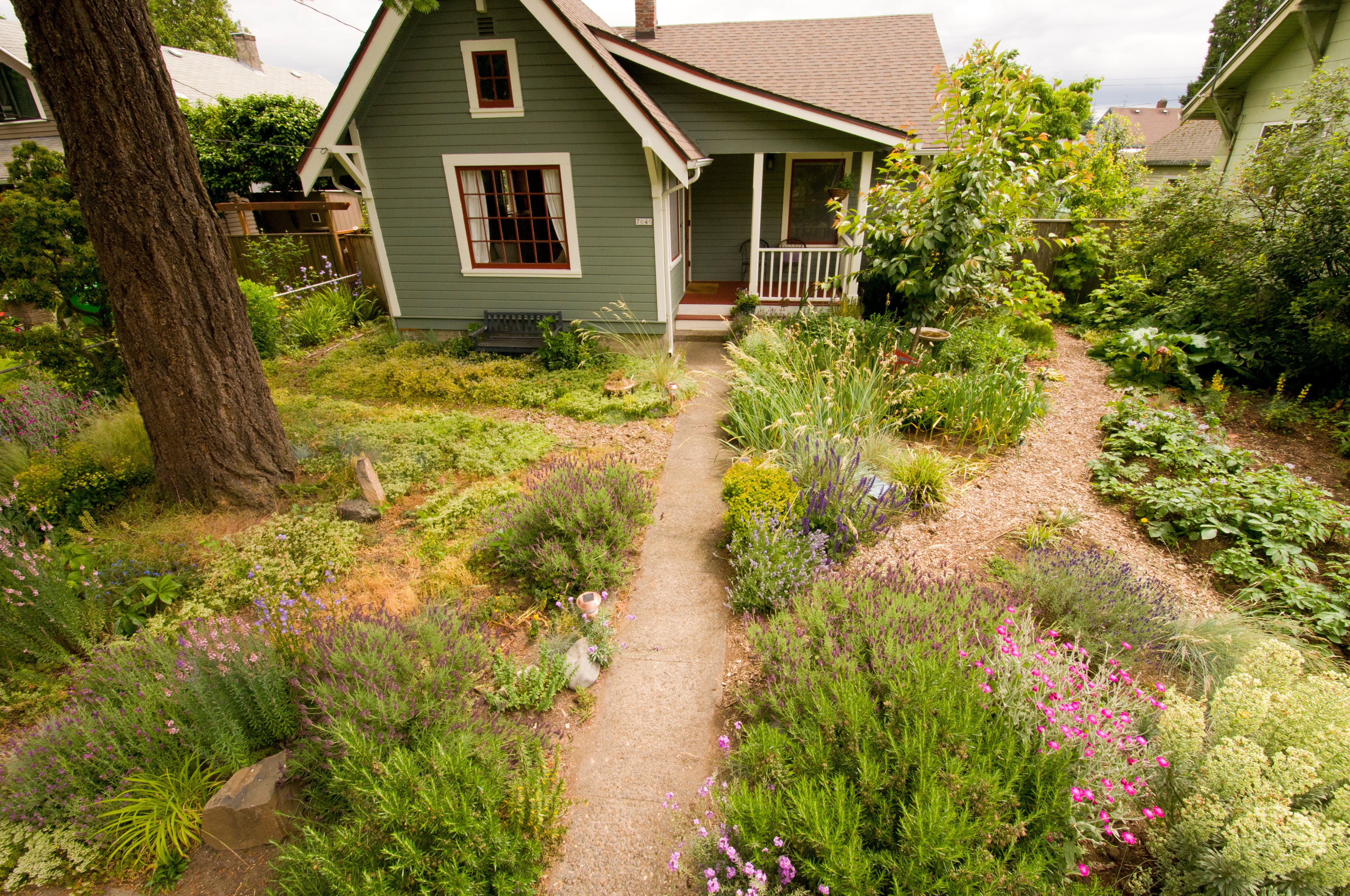 Yard and garden | Metro