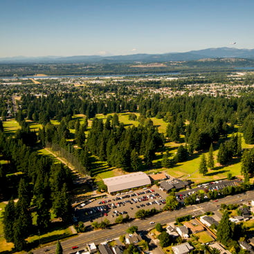 aerial view of forest, river and insdustrial buildings