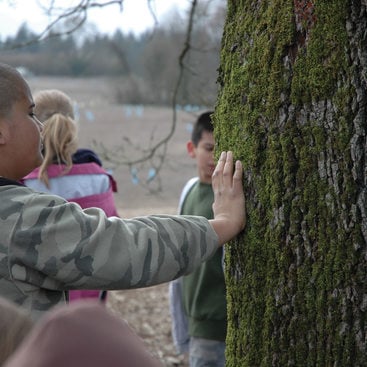 photo of boy touching oak tree