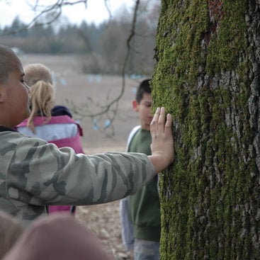 photo of boy touching oak tree