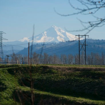 photo of land near Mount Hood