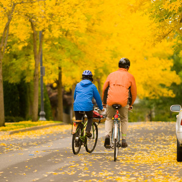 photo of bicycles in fall color