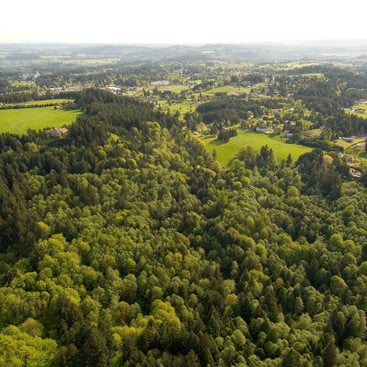 aerial photo of Scouters Mountain