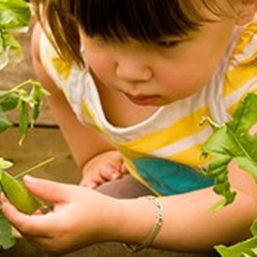 photo of a little girl in a garden