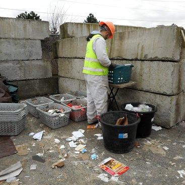 photo of sorting for waste composition study