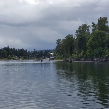 looking upriver from the Tryon Cove boat launch