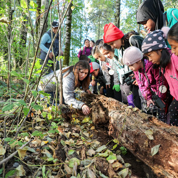 Group of children looking at log in nature