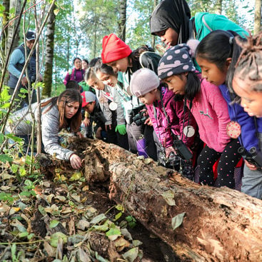 A group of black and brown children from Club Aves look under a nurse log with a Metro nature educator.