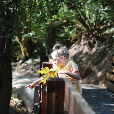 A child holding a large yellow leaf in their hand stands on a bridge in Newell Creek Canyon Nature Park and points to something in the distance.