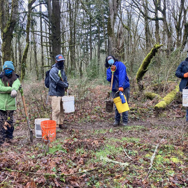 Project picture for Forest Park Conservancy program of young adults restoring natural habitat in Forsest Park while gaining real-life work skills