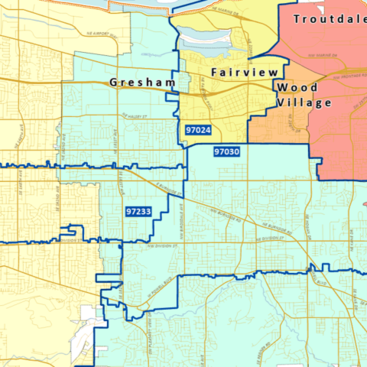 A preview of the regional ZIP code map showing ZIP code boundaries and streets.