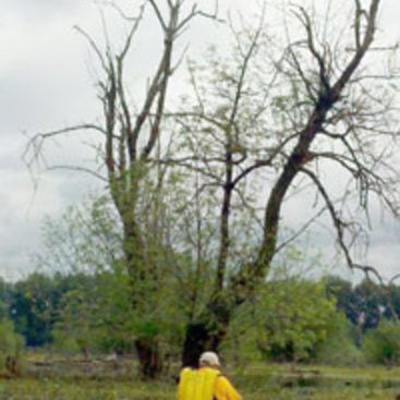 person in kayak paddling on water near a tree
