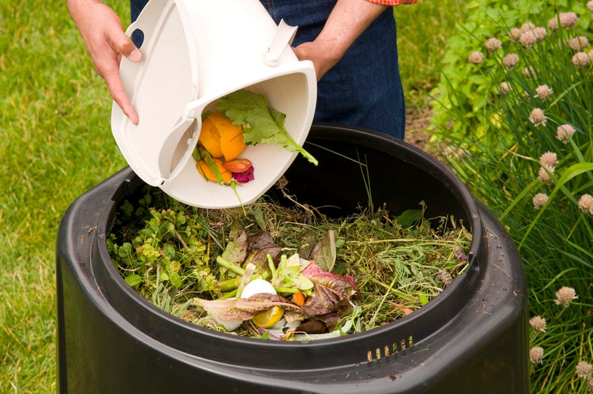 Familiarizarse sitio referencia Composting | Metro