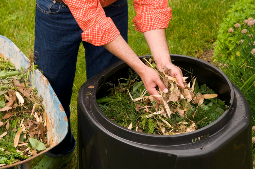 How to compost at home: Rich soil for gardening