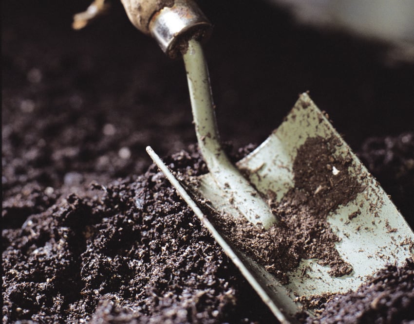 Fall And Winter Gardening Metro
