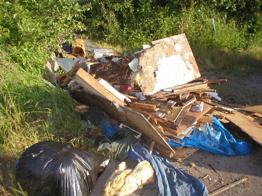 Rid Patrol Report Dumped Garbage Metro