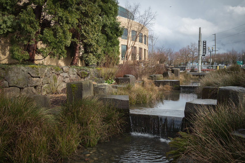 Oregon Convention Center rain garden