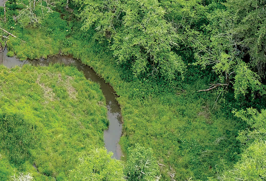 A drone image of a stream cutting through a grassy mound.
