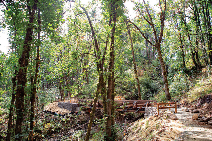A foot path leads to a wooden bridge. The bridge is surrounded by trees and greenry.