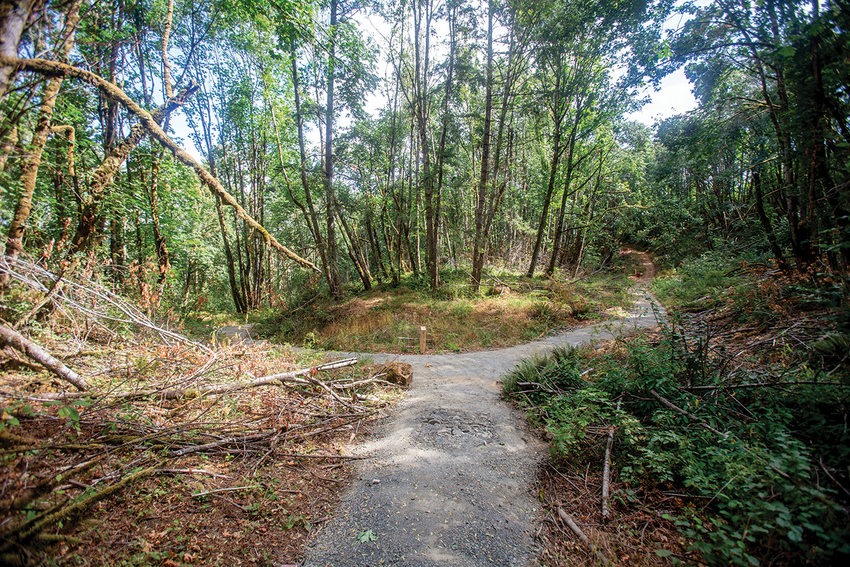 A path forks into two paths in Newell Creek Canyon Nature Park.