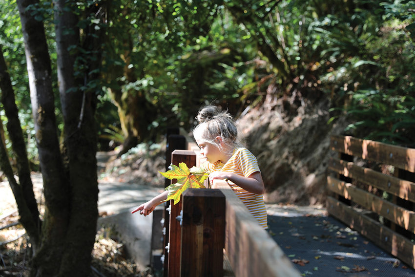 A young child stands on a bridge and points at something below. They are holding a big, yellow big-leaf maple leaf.