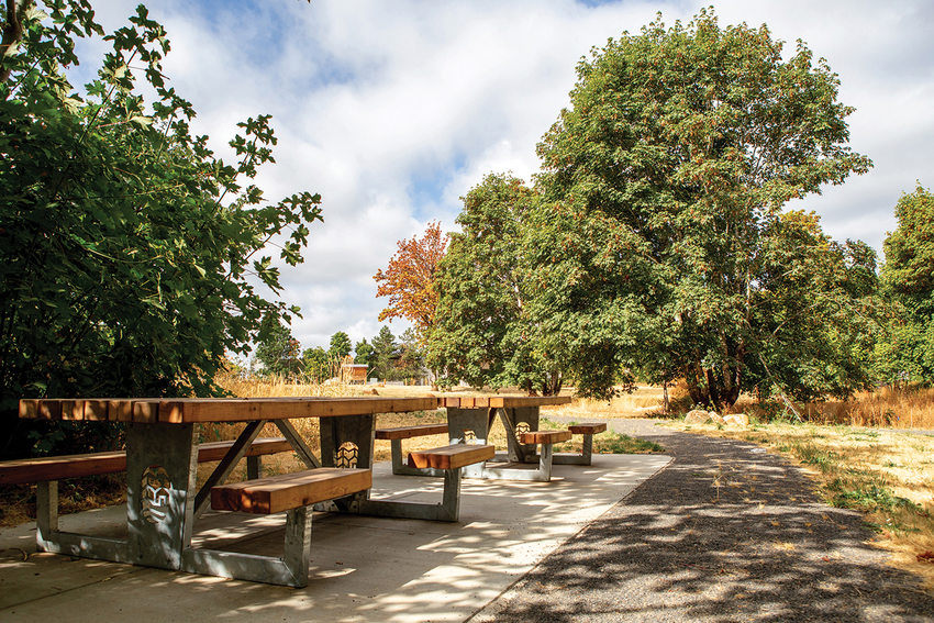 Two picnic tables sit side-by-side amid big trees at Newell Creek Canyon Nature Park.