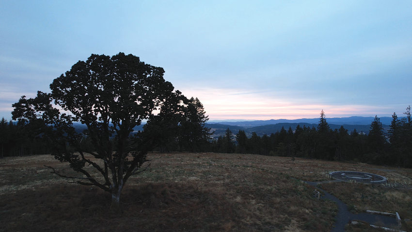 A large heritage oak stands in a prairie along with an overlook with views of the Coast Range and Tualatin River Valley.