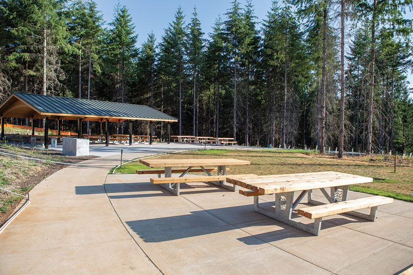 Picnic tables sit in the sunshine with a picnic shelter in the midground and big Douglas fir trees in the background.