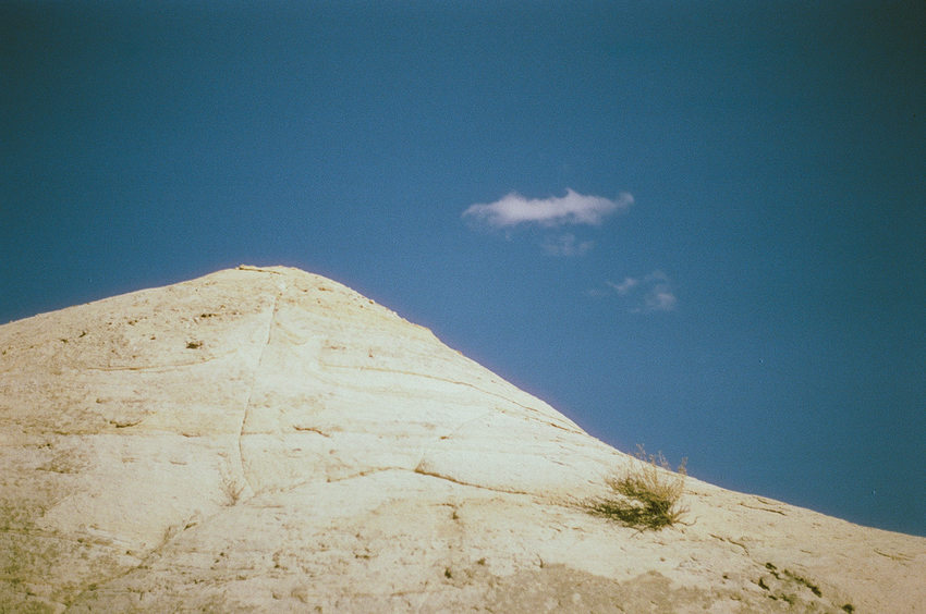 A bare white rock stands under a blue sky. One small cloud is in the sky. One small bush grows on the rock.
