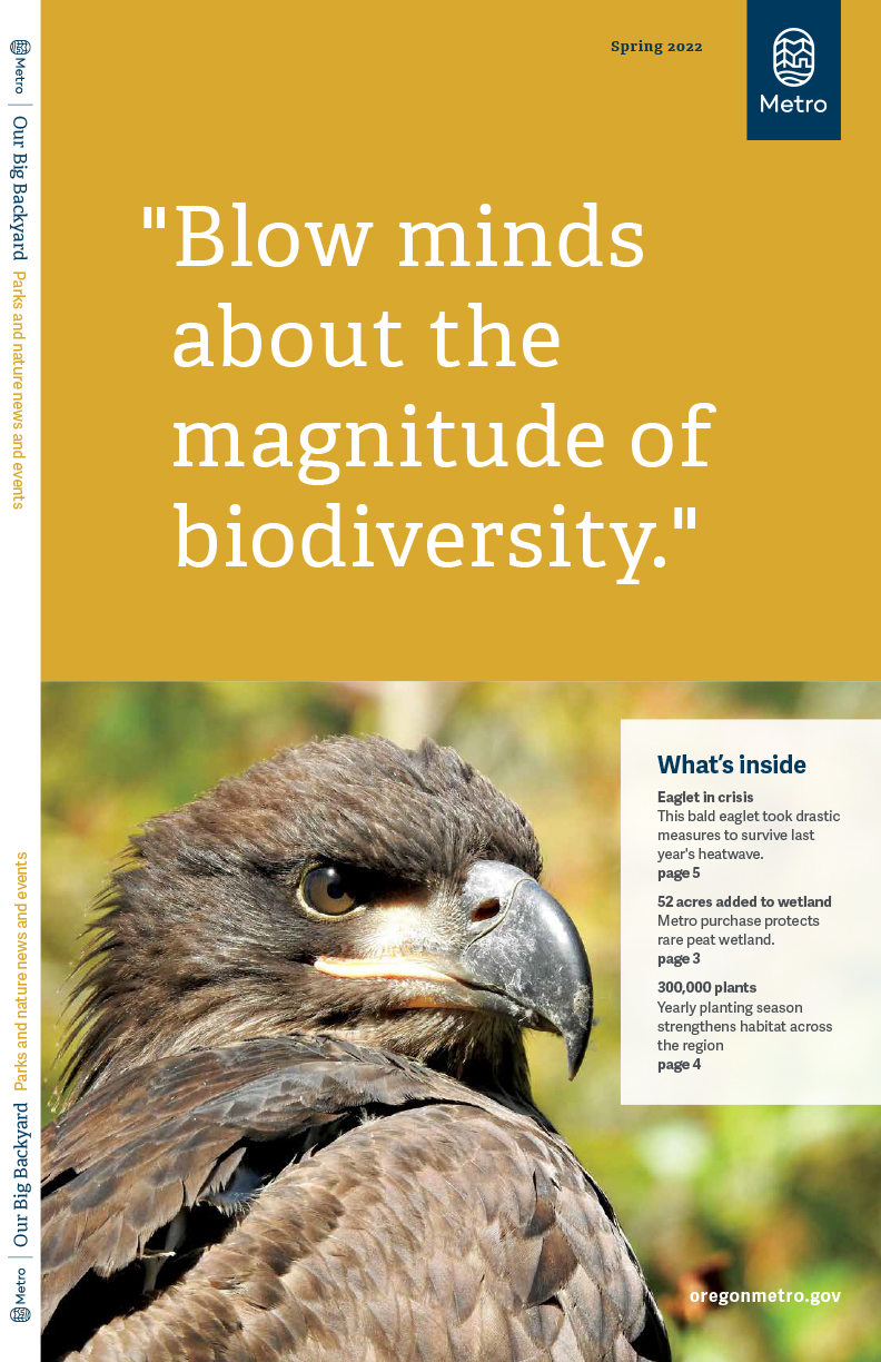 The cover of Our Big Backyard Spring 2022. The top half of the cover says, "Blow minds about the magnitude of biodiversity." The bottom half shows a three-quarters profile of a young bald eagle.