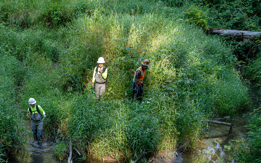 Two men wearing orange construction uniforms stand in a dense forest watching a pair of logs lower to the creek.