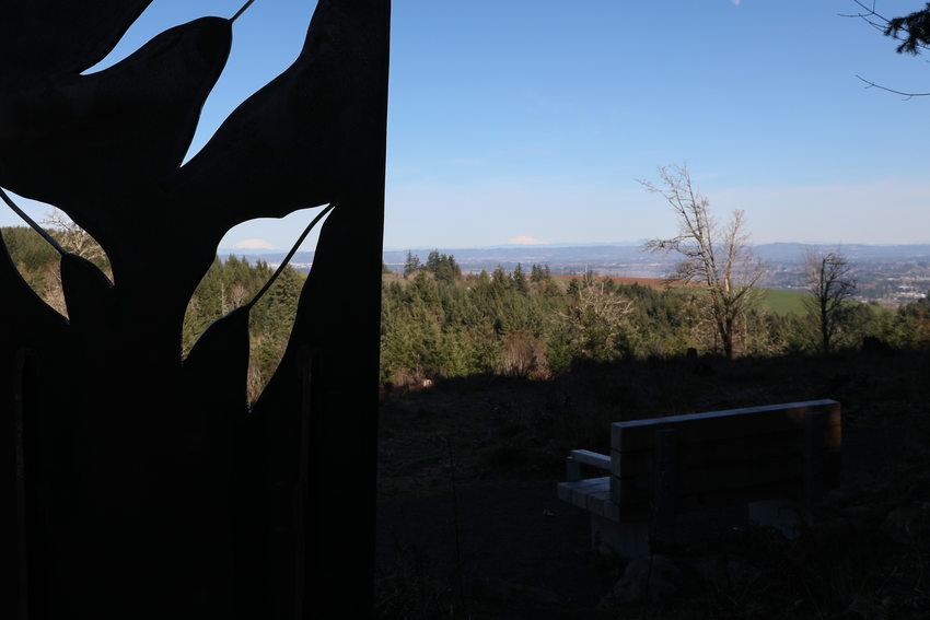 Panoramic view of mountains from a trail at Chehalem Ridge.