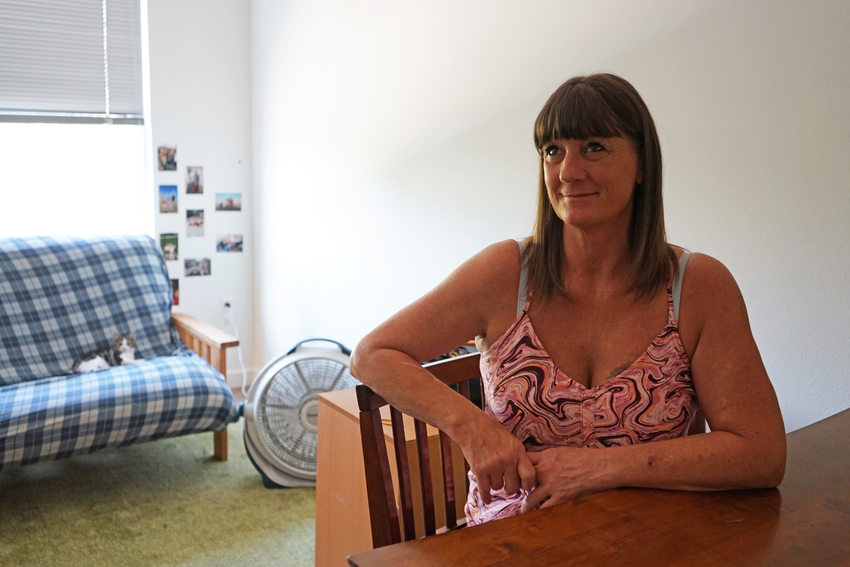 Woman in pink blouse sits at a table smiling while a cat sits on a sofa with plaid upholstery behind her 