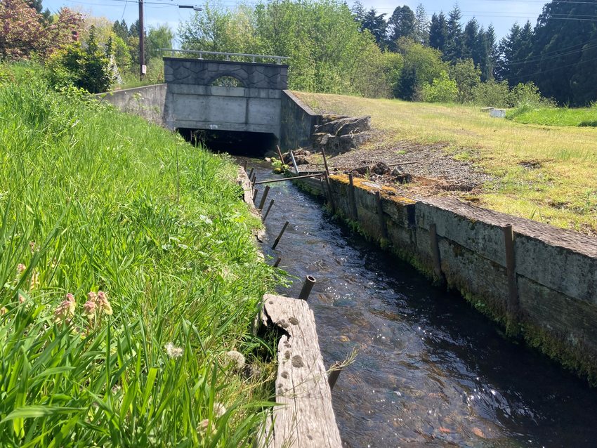 a stream runs through banks lined with concrete walls and bare grass into a culvert