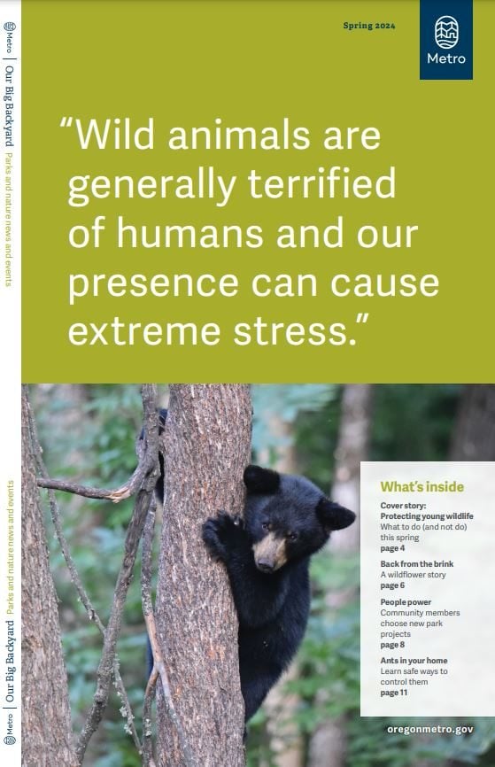 The cover of Our Big Backyard spring 2024 features the quote “Wild animals are generally terrified of humans and our presence can cause extreme stress" above an image of a black bear cub in a tree. 