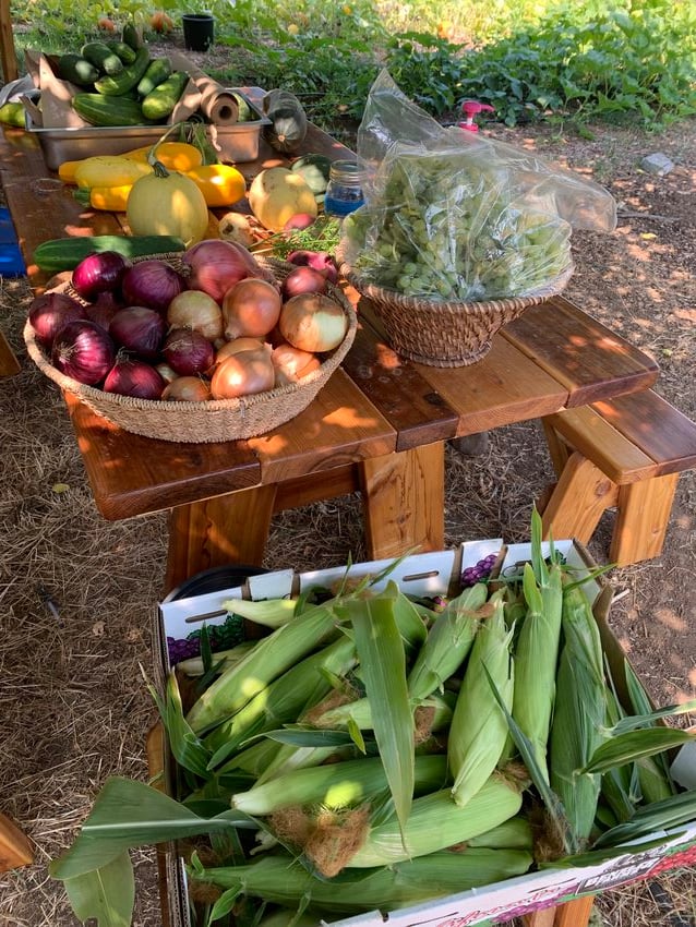 A photograph of a wooden table with baskets and boxes of zucchini, grapes, corn, squash, and red and yellow onions on it.