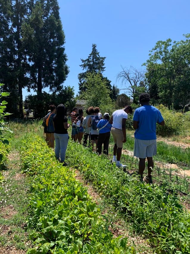 A photograph of a group of 10 people standing in the space between rows of raised farm beds full of leafy greens.