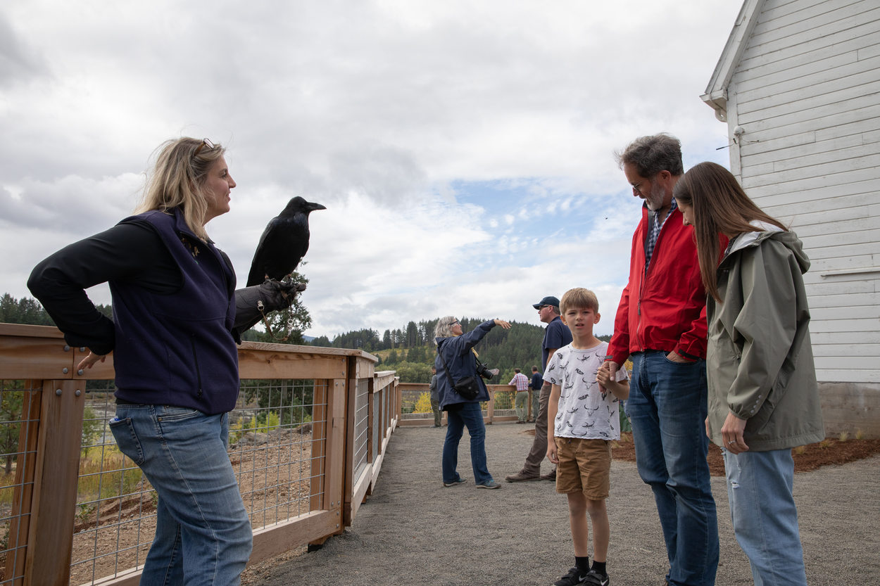 Sheri Salzwedel, a volunteer educator with The Audobon Society of Portland, holds a raven for visitors to see and learn about.