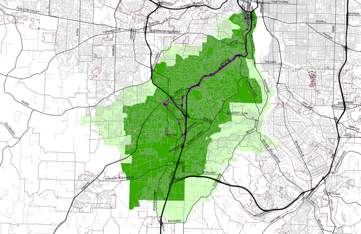 A map with a green region that shows the eligible geographic area for grant applications through the Southwest Corridor equitable development strategy pilot projects