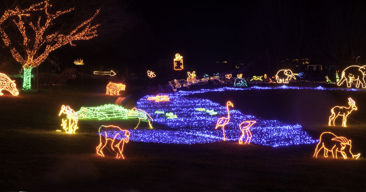Best Christmas Lights in Portland