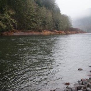 a photo of the banks of the gorge on a foggy morning