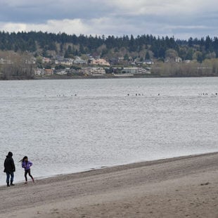 photo of a family walking along the beach