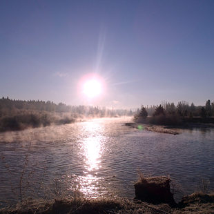 photo of the Clackamas River near River Island