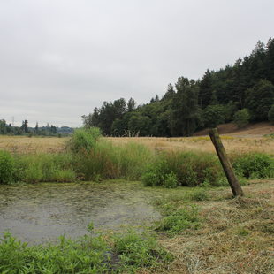 photo of Grant Butte Wetlands