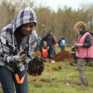 photo of girl at volunteer planting