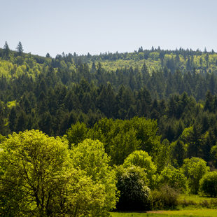 photo of Chehalem Ridge