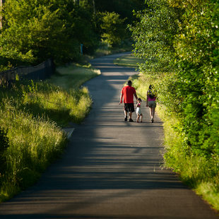 photo of a trail