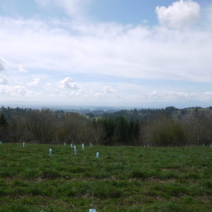 photo of view from McCarthy Creek Natural Area