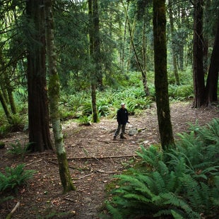 Metro's lead natural resources technician Adam Stellmacher standing among tall fir trees and ferns in Newell Creek Canyon