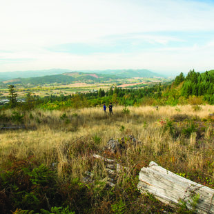 photo of Chehalem Ridge